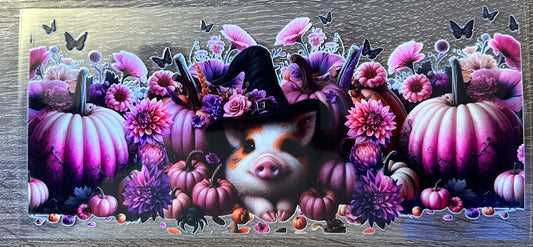 Witchy pig