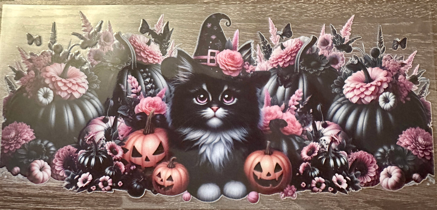 Miss Whiskers Halloween