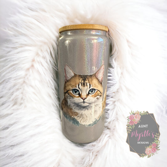 Ready to Ship 00508 - Brown tabby - 20oz silver shimmer glass can