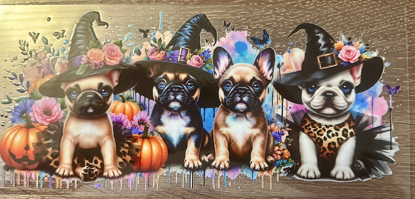 Witchy dogs